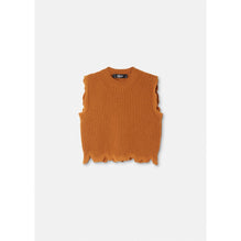 Women Distressed Knit Crop Top - Brown