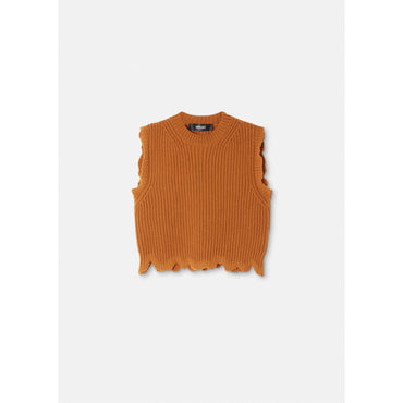 Women Distressed Knit Crop Top - Brown