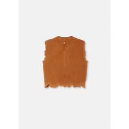 Women Distressed Knit Crop Top - Brown