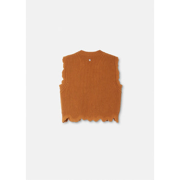 Women Distressed Knit Crop Top - Brown