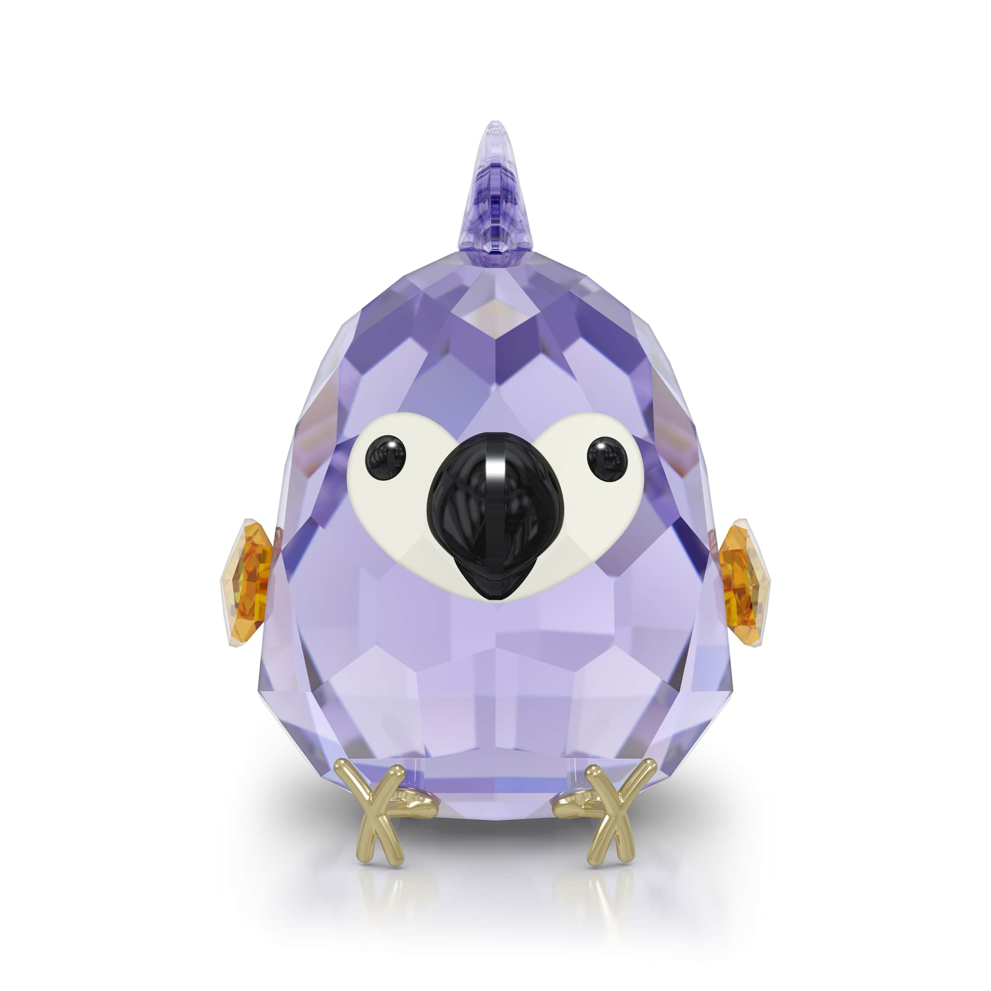 All you Need are Birds Purple Macaw