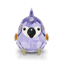 All you Need are Birds Purple Macaw