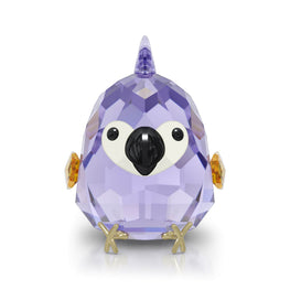 All you Need are Birds Purple Macaw