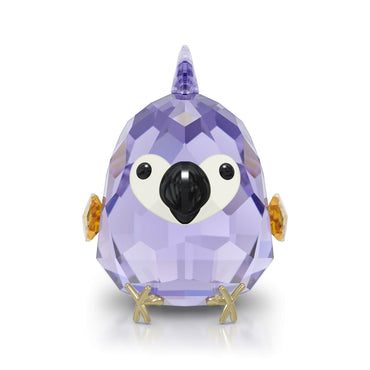 All you Need are Birds Purple Macaw