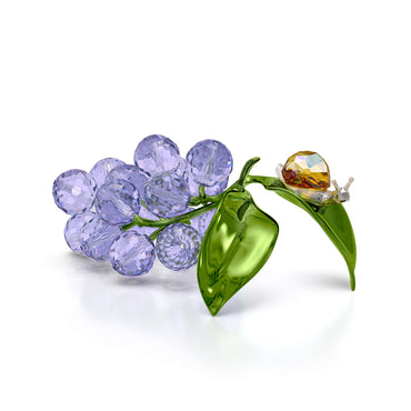 Idyllia Snail and Blueberries