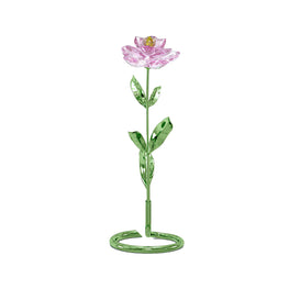 Florere Peony