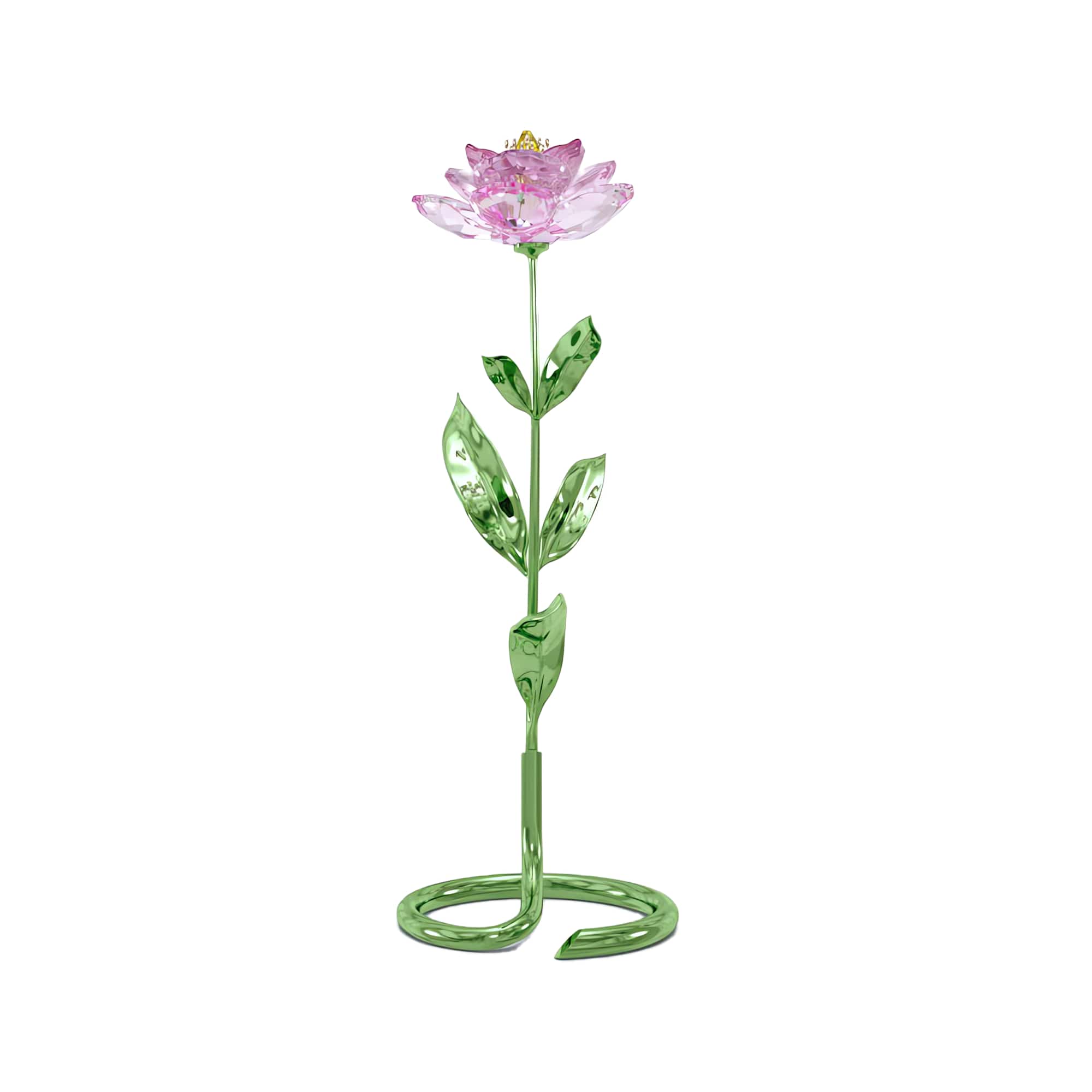 Florere Peony