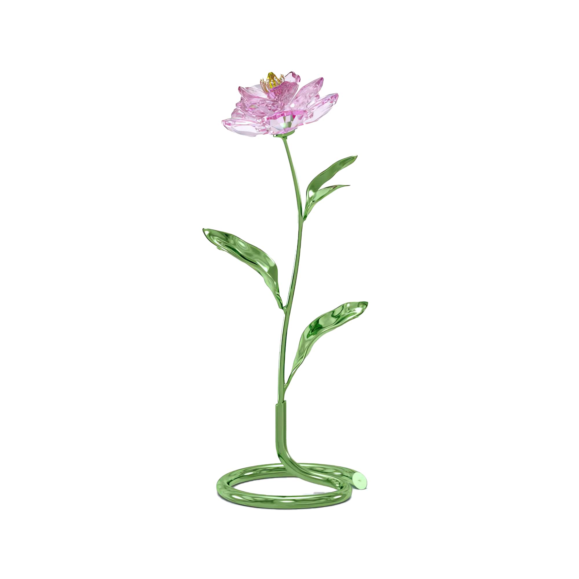 Florere Peony