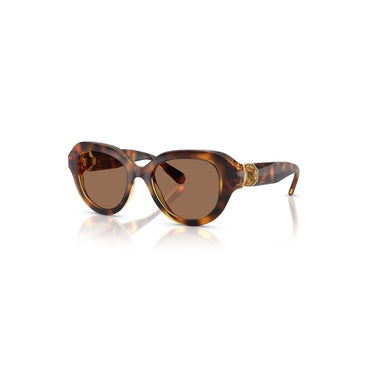 Sunglasses, Round shape, Brown